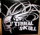 Reklamn samolepka TRUBAL Skull 0206 - 10x10cm